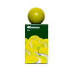 عطر Aura - Image 2